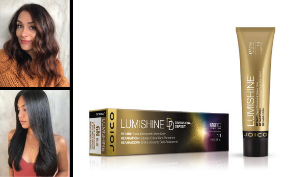 Brunette hair color before and after with LumiShine products used