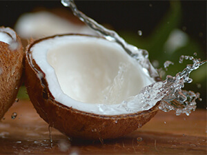 coconut with water inside
