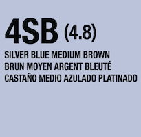 lumishine demi permanent liquid blue medium brown 4SB