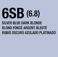 lumishine demi permanent liquid silver blue dark blonde 6SB