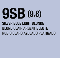 lumishine demi permanent liquid silver blue light blonde 9SB